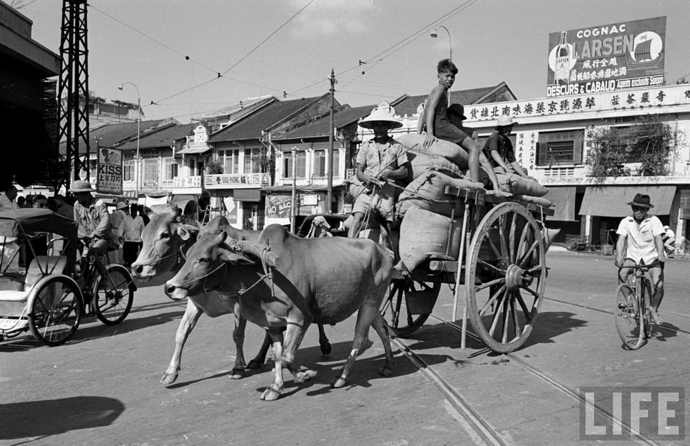[Image: Redsvn-Saigon-1950-02.jpg]