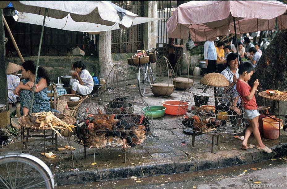 Hà Nội-Altstadt: Geflügelhändler