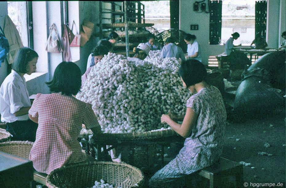 Đà Nẵng: Nhà máy sản xuất thảm - sắp xếp quan tài bằng tơ tằm