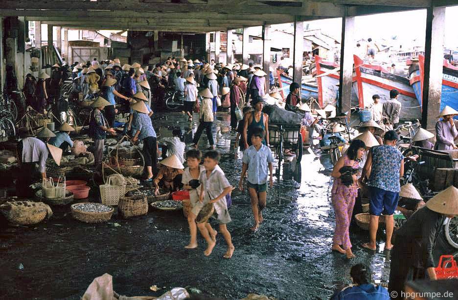 Nha Trang: chợ cá