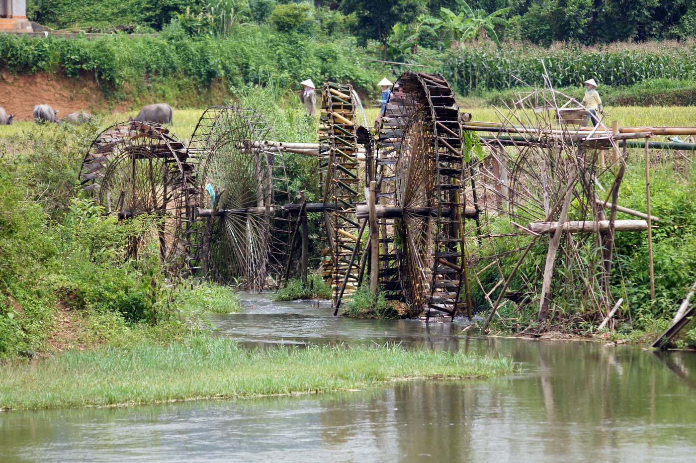 Tri thức dân gian của người dân tộc Thái trong việc bảo vệ tài nguyên nước