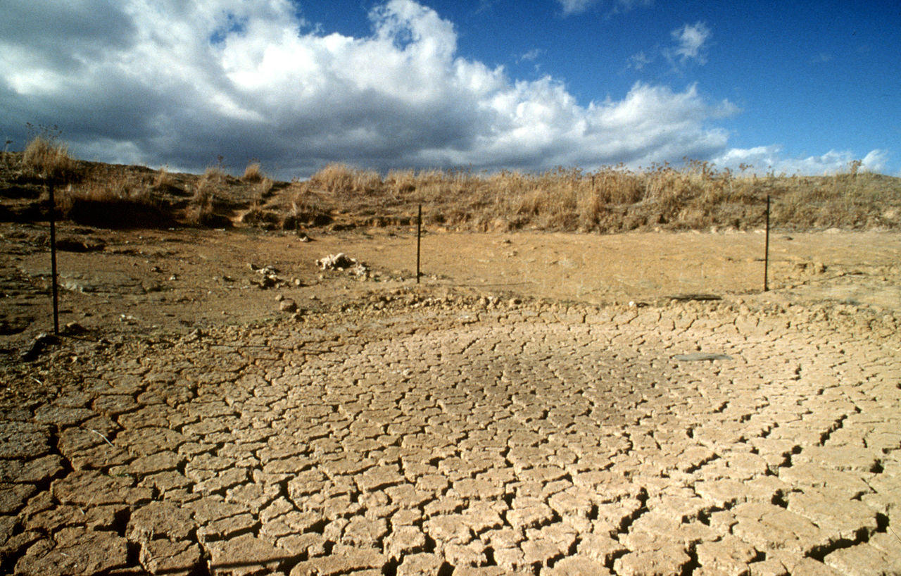 CSIRO_ScienceImage_429_Drought_Effected_Landscape.jpg