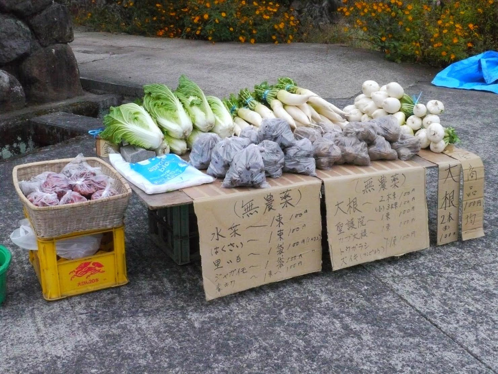 “Hoa quả giá siêu rẻ và rất ngon, giá mỗi loại chỉ 100 Yên”, đó là những lời quảng cáo của một cửa hàng rau không người bán ở thị trấn Yufuin, tỉnh Oita. Ảnh chụp vào tháng 10/2011 - Ảnh: Yufuin.