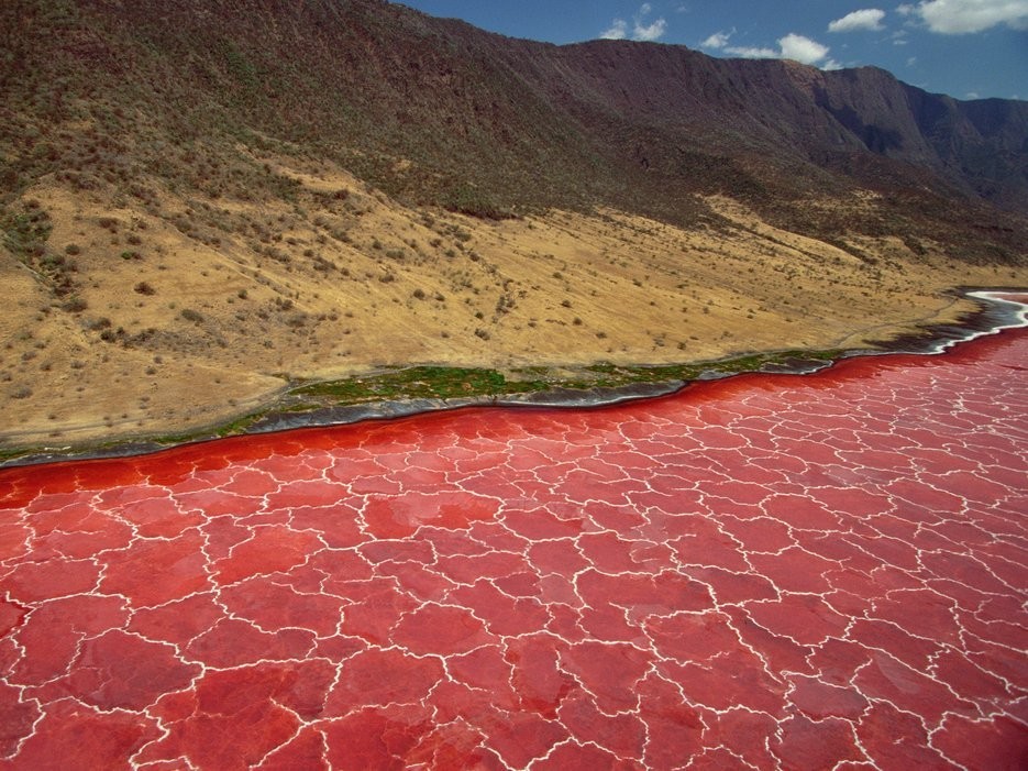 Hồ Natron, Monduli, Tanzania: Hồ muối đặc biệt này có nhiệt độ 120 độ C và độ PH thấp ở mức nguy hiểm. Chính sự xuất hiện của vô số các loài tảo đỏ đã hấp dẫn hàng triệu con hồng hạc đến đây sinh sản.