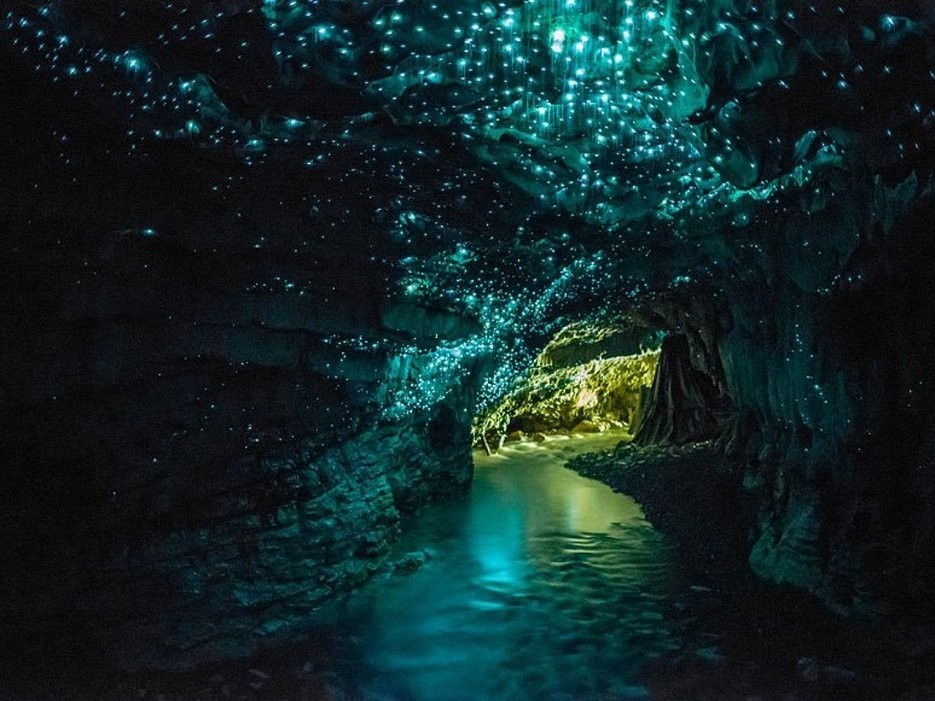 Hang đom đóm, Waitomo, New Zealand: Những chiếc hang ở đây được thắp sáng bởi hàng ngàn con đom đóm về đêm, khiến cảnh tượng ở đây như một dải ngân hà.