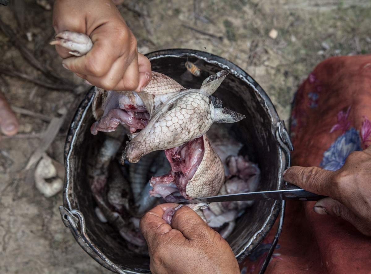 Chùm ảnh: Những món ăn độc đáo của bộ lạc trong rừng già Amazon