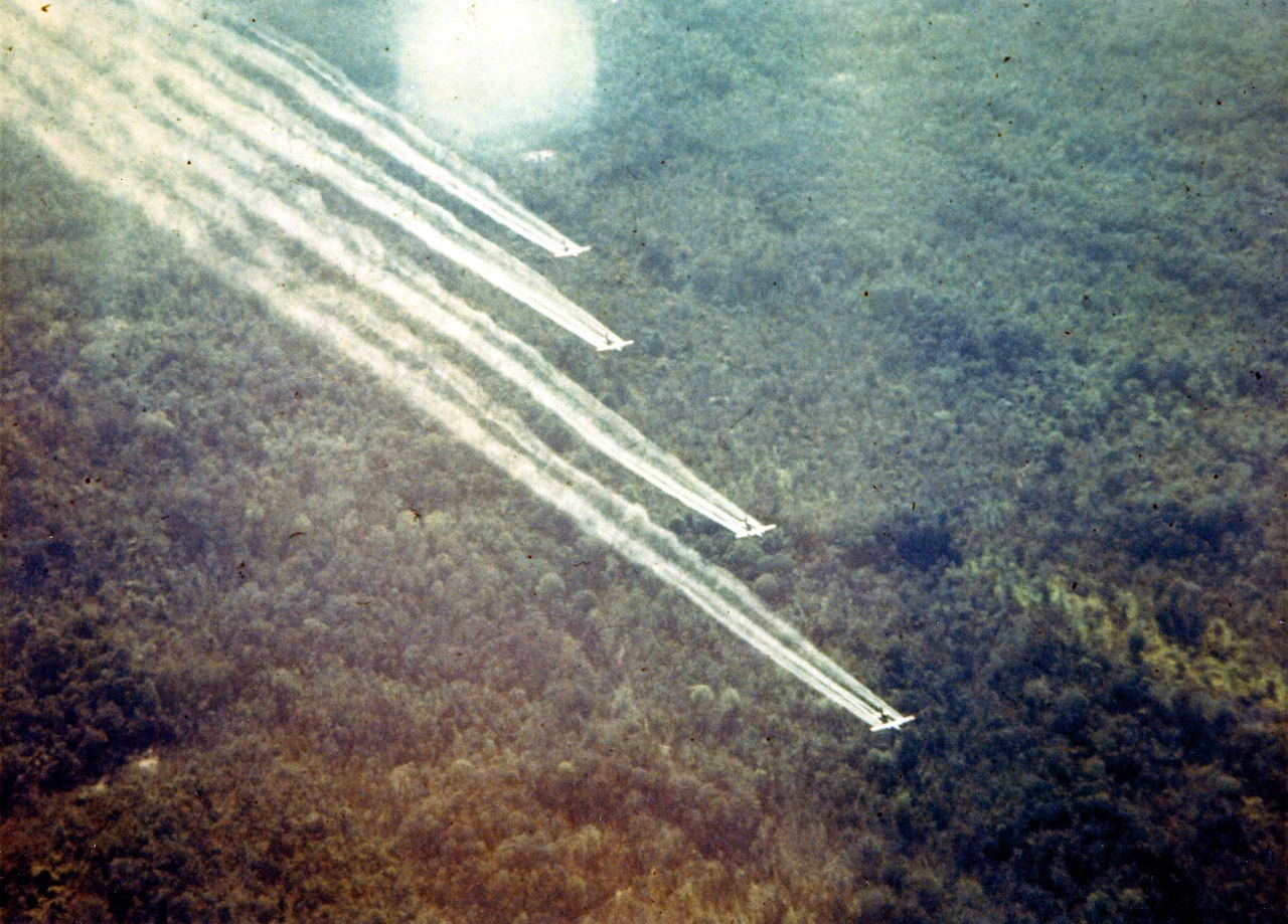 Hậu quả của chiến tranh hóa học đối với rừng Việt Nam