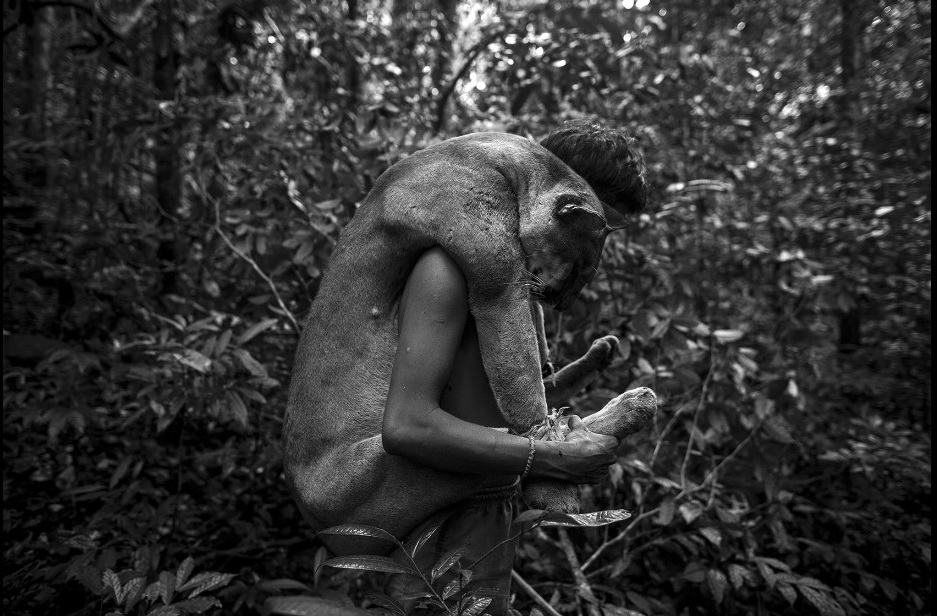 Chùm ảnh: Cuộc sống của người Awa – bộ lạc ít người nhất trái đất