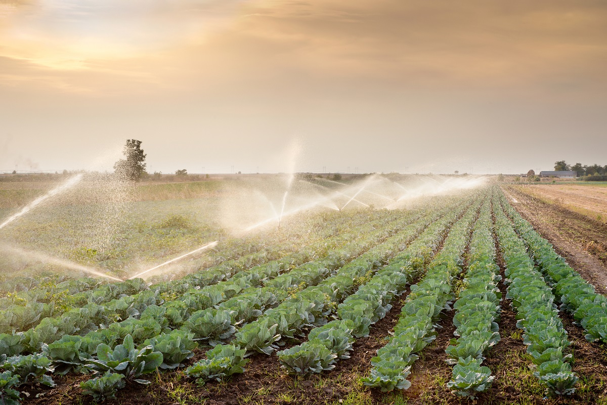 Sản xuất nông nghiệp bền vững ở Israel và hàm ý chính sách cho Việt Nam