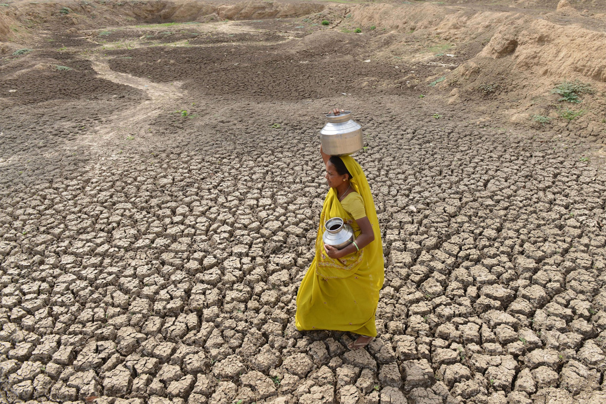 Thảm họa biến đổi khí hậu: Câu chuyện đau lòng từ Ấn Độ