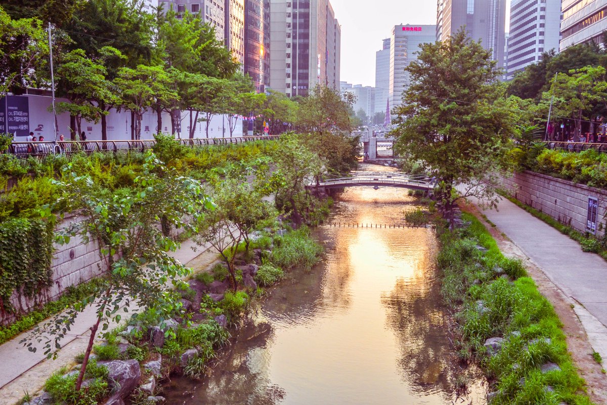 Cheonggyecheon: Từ ‘sông Tô Lịch của Seoul’ đến dòng suối trong lành