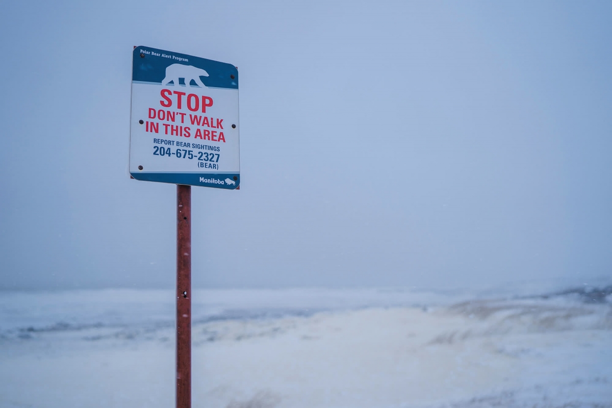 Biển cảnh báo gấu Bắc Cực ở Churchill