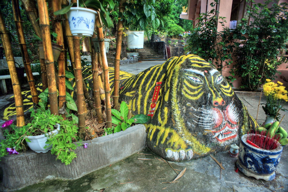 Chùm ảnh: Ông Hổ nằm bẹp giữa sân chùa nổi tiếng Phú Quốc