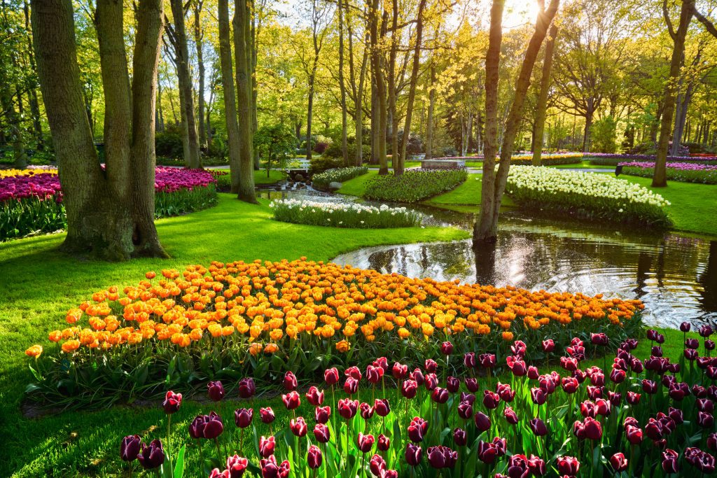 Amazing Gardens of the World anh 10