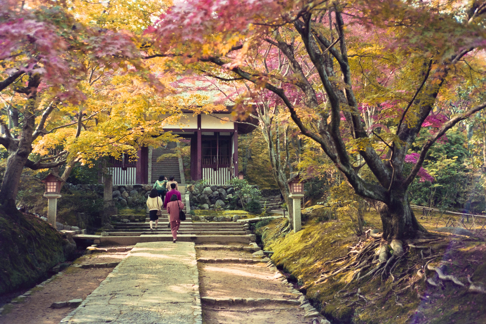 Chùm ảnh: Ngẩn người trước vẻ đẹp mùa thu Kyoto năm 1990