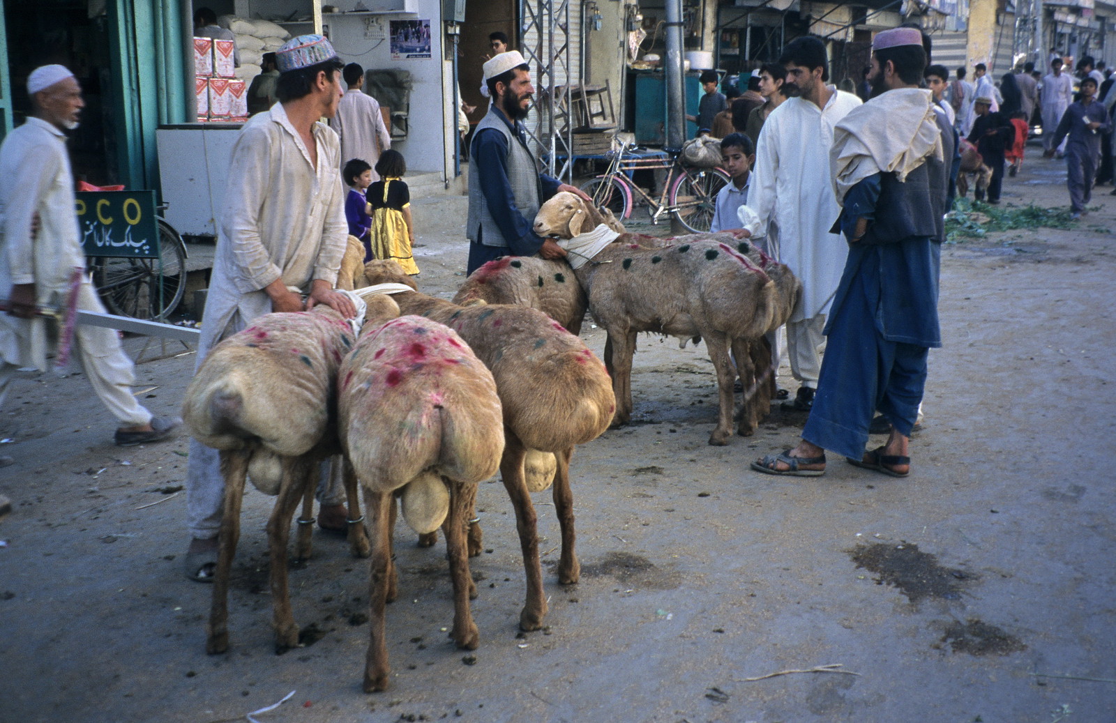 Bộ ảnh đầy cuốn hút về cuộc sống ở đất nước Pakistan năm 1995