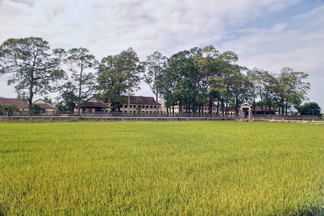 Chùm ảnh: Ghé thăm Tiểu Chủng viện Làng Sông ở Bình Định