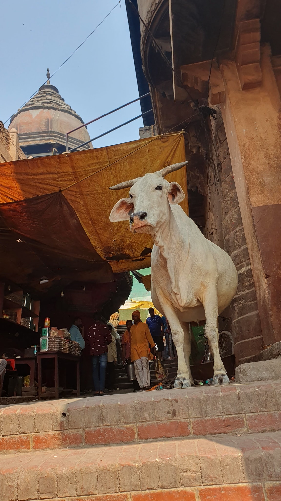 kham pha Varanasi anh 17