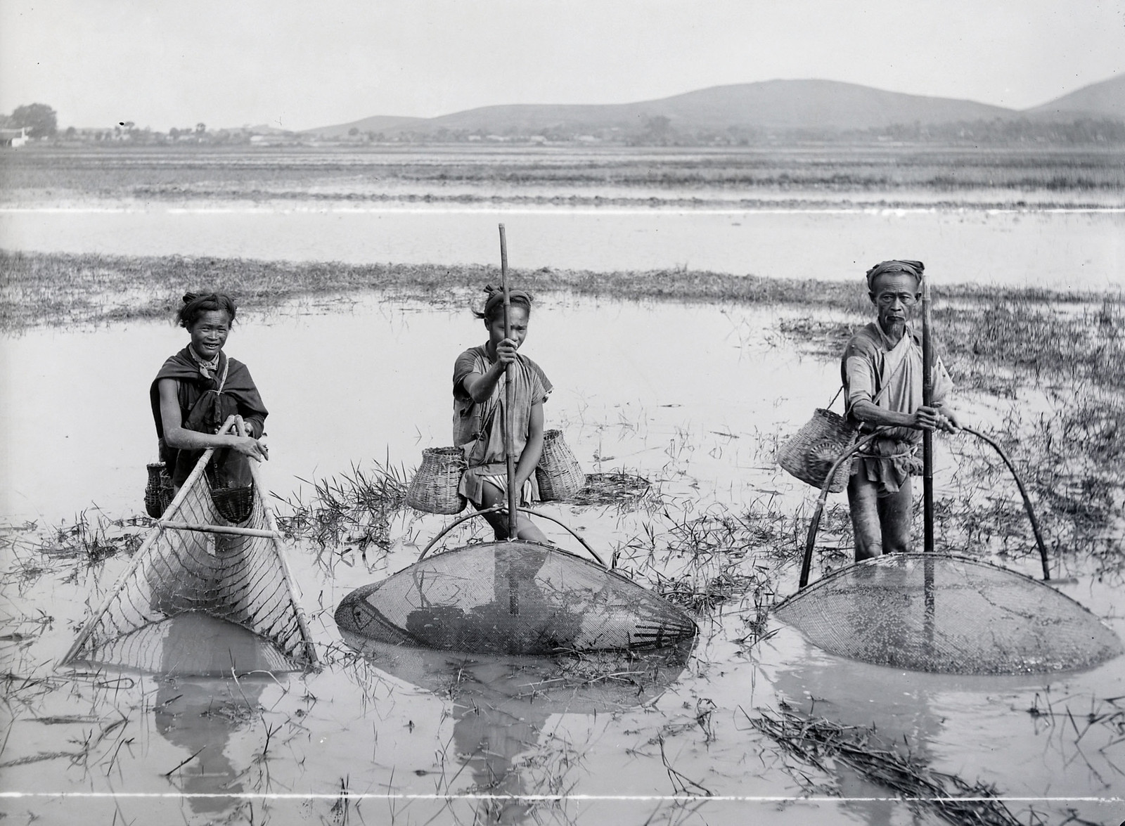 Dánh dậm – một nghề đặc biệt ở Việt Nam xưa