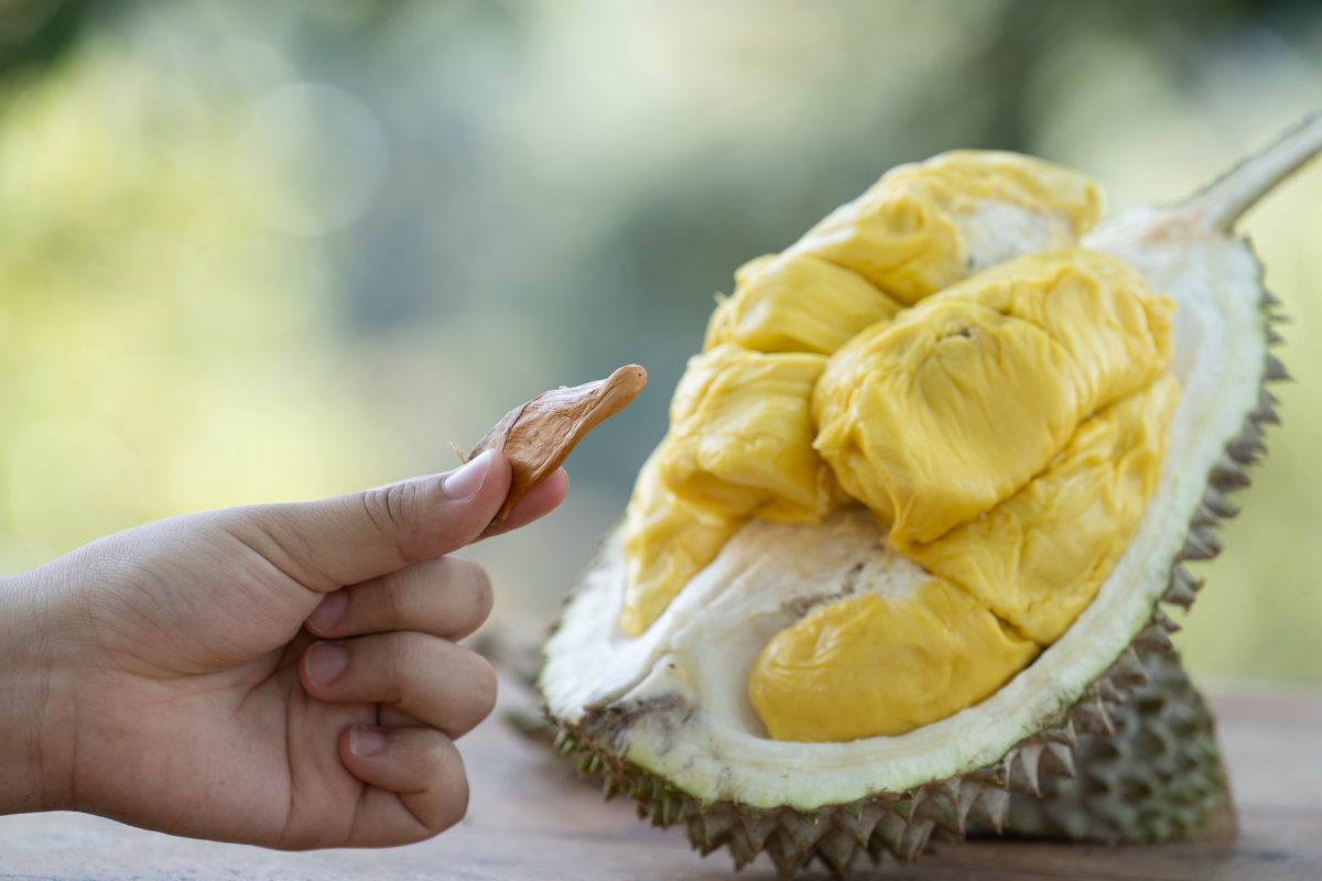 Sự trỗi dậy của ngoại giao sầu riêng