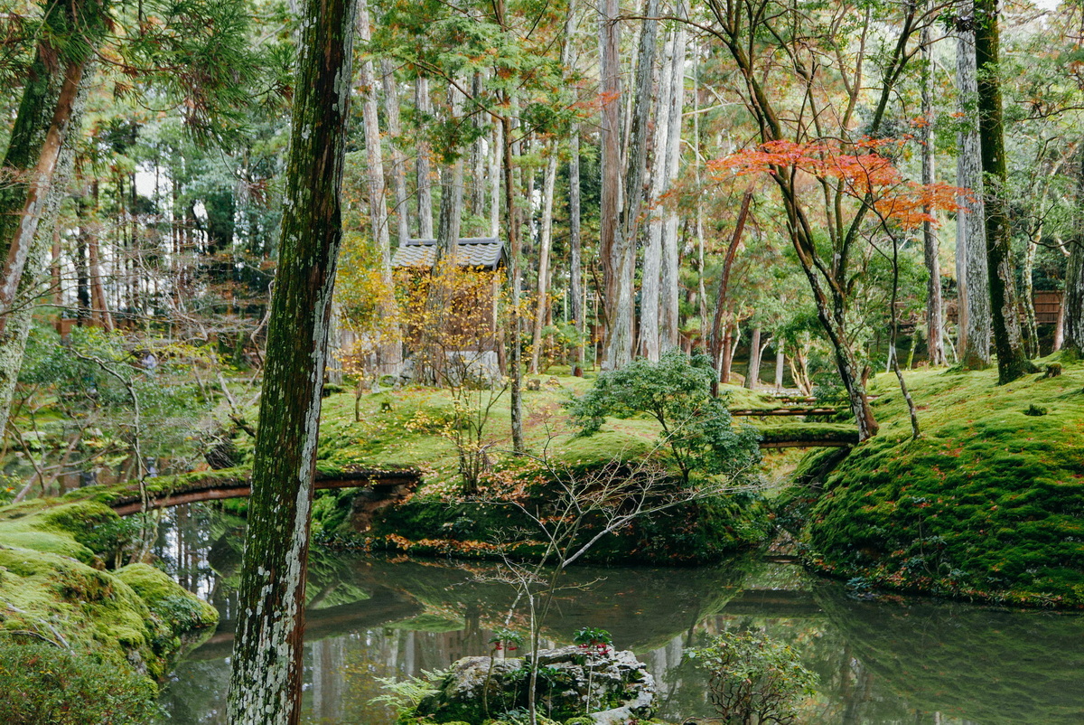 Chùm ảnh: Khám phá 11 khu vườn đẹp nhất đất nước Nhật Bản