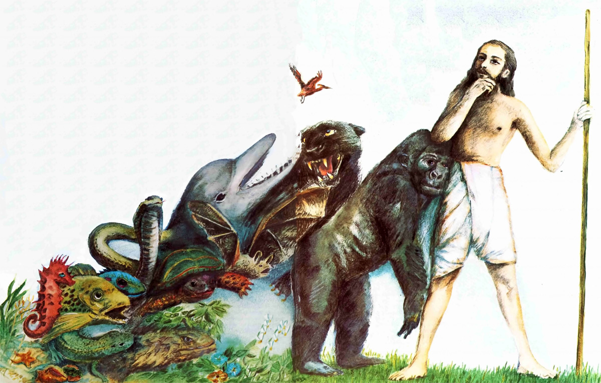 Lịch sử học thuyết tiến hóa: Từ Darwin đến thời hiện đại